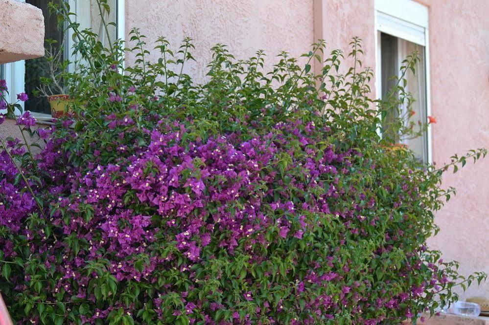 Hotel Princesse D'Azur Sainte-Maxime Ngoại thất bức ảnh